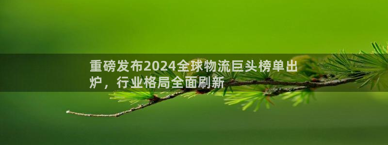 28圈.ccm官网：重磅发布2024