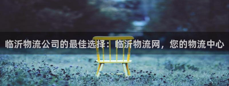 28圈返水怎么算的：临沂物流公司的最