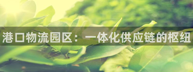 28圈链接：港口物流园区：一体化供应