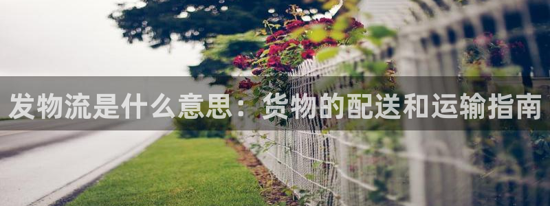 28圈黑不黑：发物流是什么意思：货物