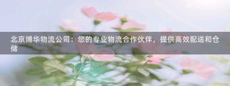 28圈技巧：北京博华物流公司：您的专