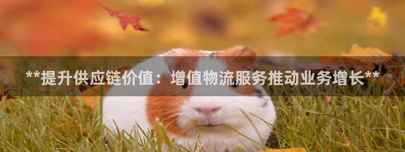 28圈链接：**提升供应链价值：增值