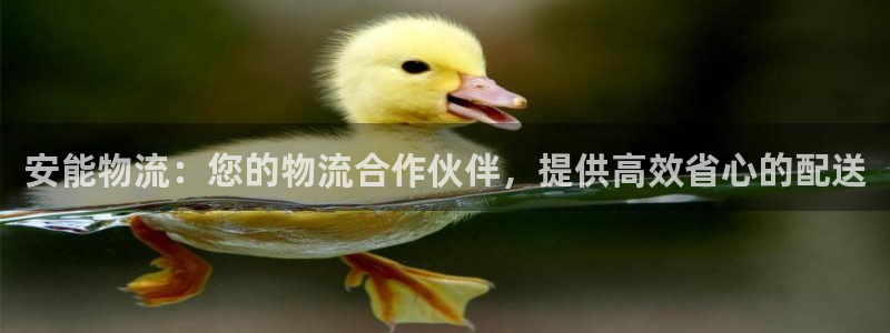 28圈电子：安能物流：您的物流合作伙