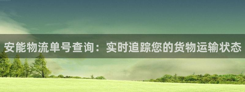 28圈正规吗?：安能物流单号查询：实