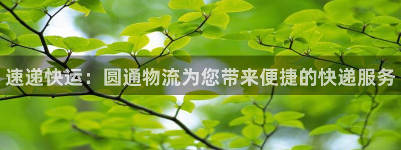 28圈加拿大模拟器