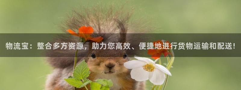 28圈链接是什么