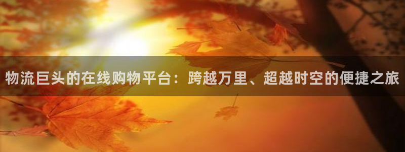 28圈预测网