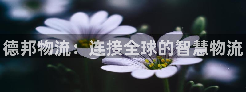 28圈app能退款吗