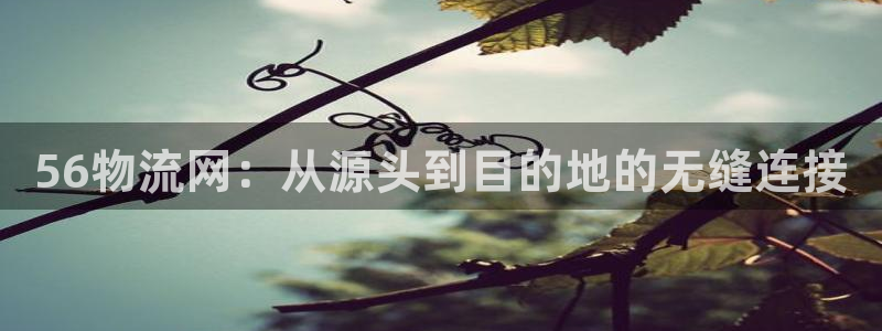 28圈充值不到账怎么办