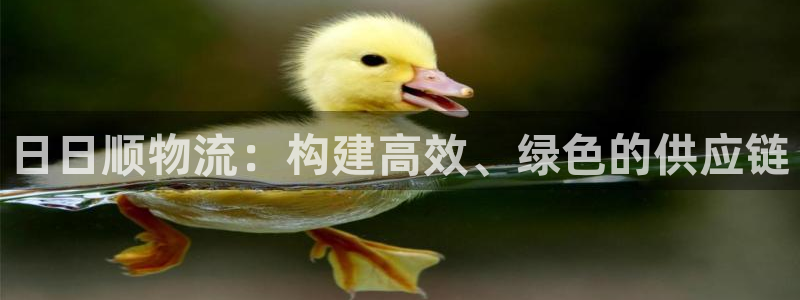 28圈充值为什么充不了