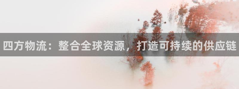 28圈黑款：四方物流：整合全球资源，