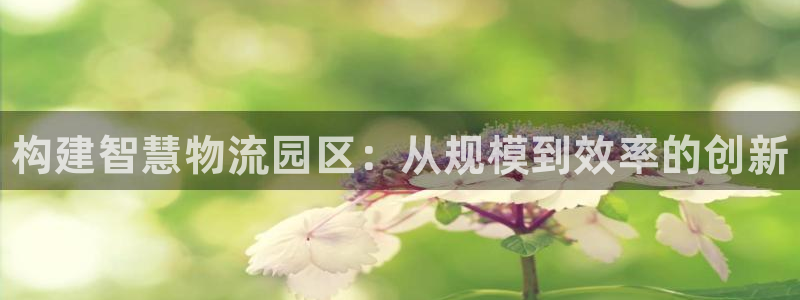 28圈头像：构建智慧物流园区：从规模