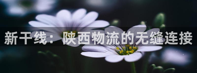 28圈下载链接是多少：新干线：陕西物