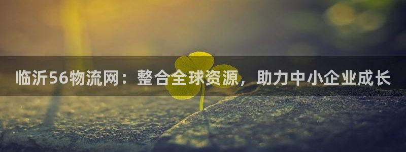 28圈提现未达5期是什么意思:临沂5