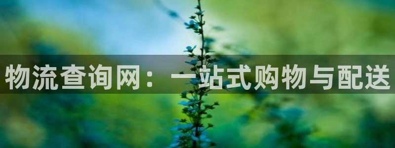 28圈app怎么注销:物流查询网:一