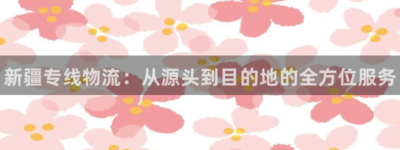 28圈注册网页：新疆专线物流：从源头到目的地的全方位服务