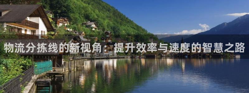 28圈吧：物流分拣线的新视角：提升效