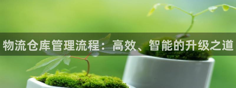 28圈充值不到账：物流仓库管理流程：