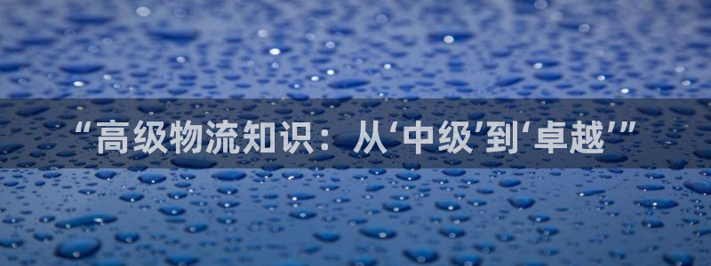 28圈违法吗：“高级物流知识：从‘中